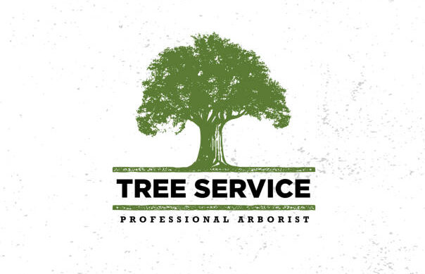 tree service Louisville, KY